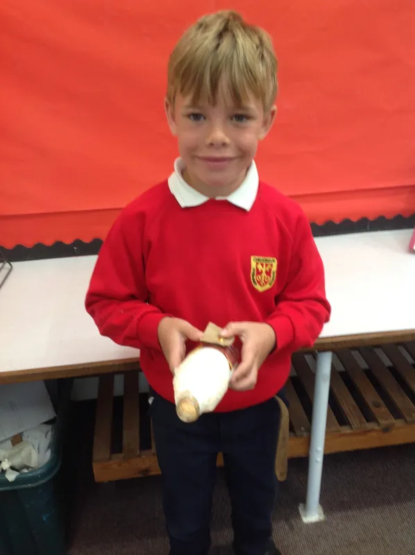 Gallery - created at 2024-06-08 19:15:42 - image 11 Gallery - created at 2024-06-08 19:15:42 - image 11