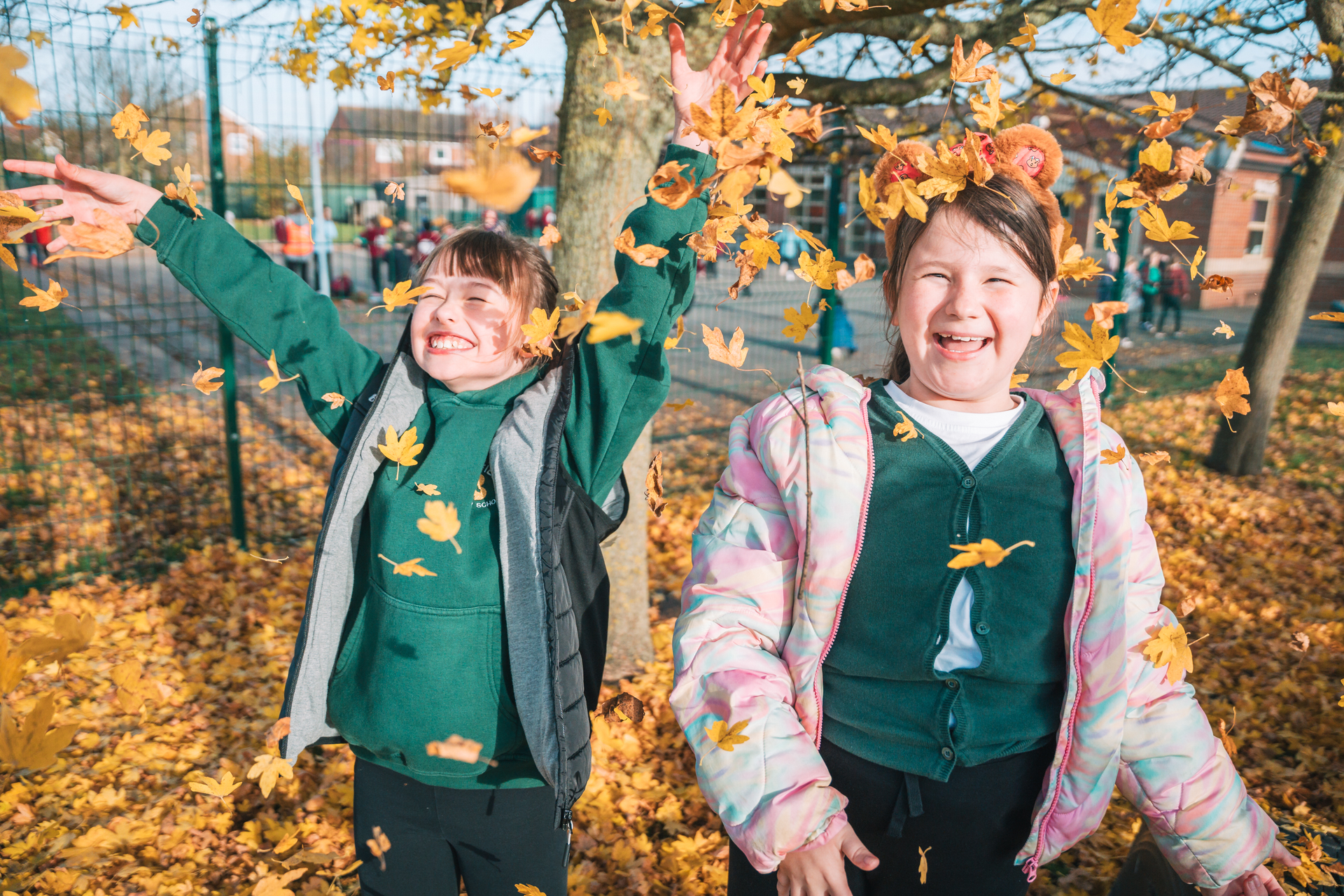 Newsletter 14th November