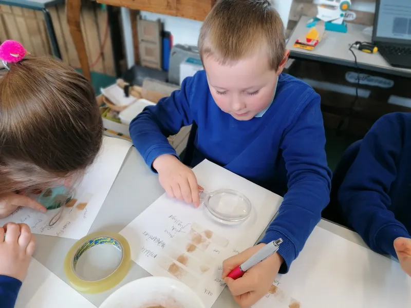 Gallery - created at 2021-03-14 14:39:05 - image 26