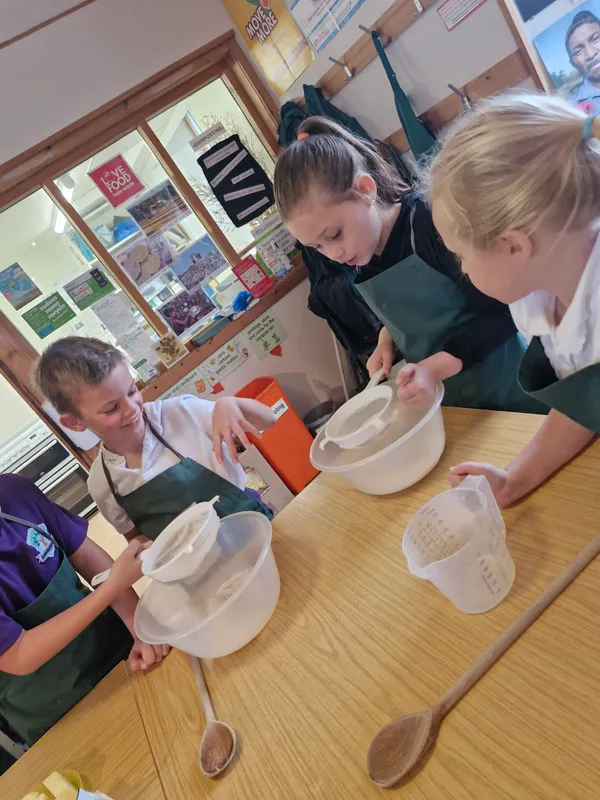 Gallery - created at 2024-10-02 11:38:57 - image 6 Gallery - created at 2024-10-02 11:38:57 - image 6