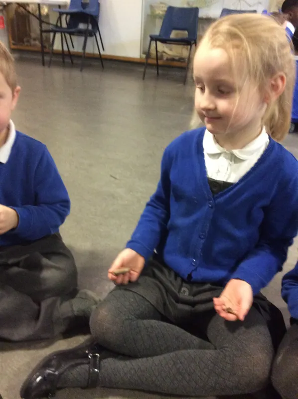 Gallery - created at 2024-02-09 11:53:37 - image 15