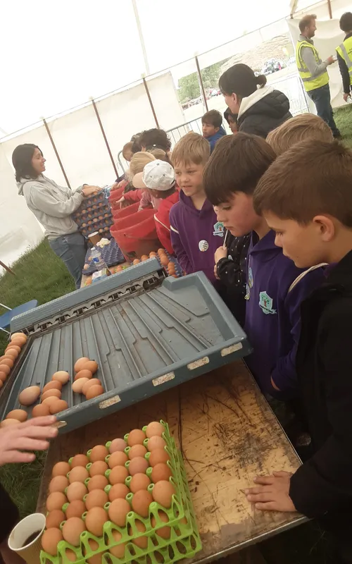 Gallery - created at 2025-06-06 10:40:13 - image 1 Gallery - created at 2025-06-06 10:40:13 - image 1