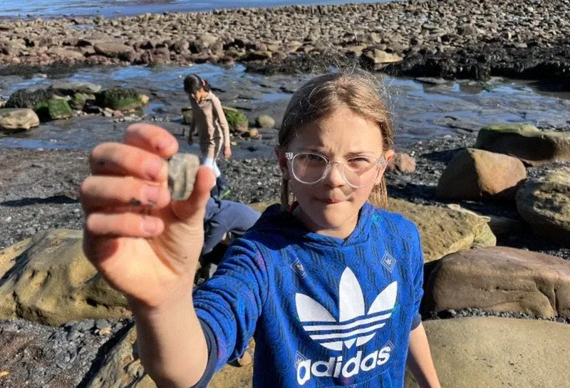 Gallery - created at 2024-05-09 15:50:24 - image 8 Gallery - created at 2024-05-09 15:50:24 - image 8