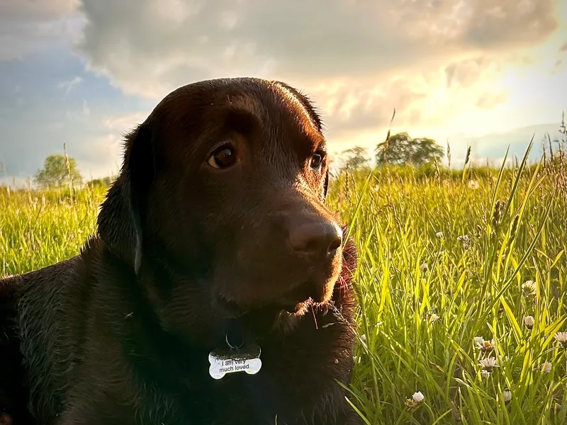 Gallery - created at 2021-06-30 13:57:57 - image 9