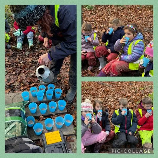 Forest School 24 - image 3 Forest School 24 - image 3