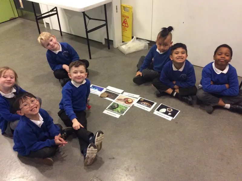 Gallery - created at 2024-02-09 11:53:37 - image 12