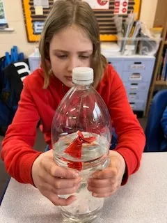 Gallery - created at 2024-03-07 16:40:56 - image 27