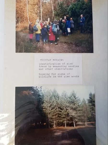 Gallery6 - history - image 7