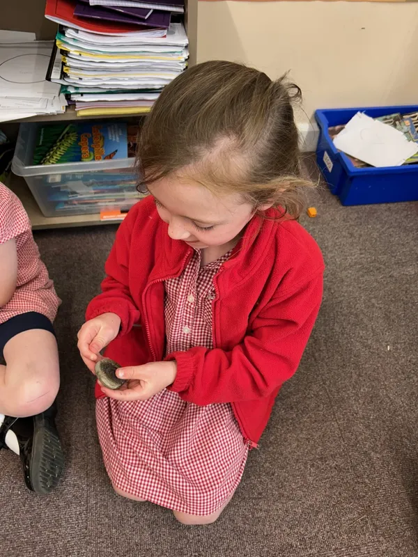 Gallery - created at 2025-05-23 15:26:33 - image 9