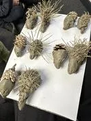 Forest School 29 - image 3 Forest School 29 - image 3