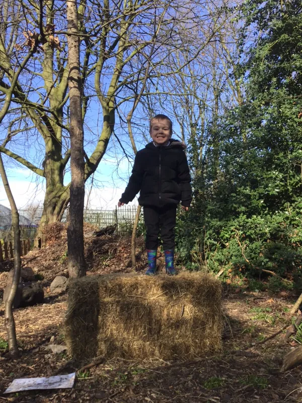 Forest School Dinosaurs - DT - image 15