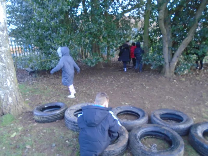 Big School Birdwatch - image 7