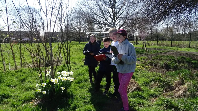 Years 5&6 Forest Schools - image 12