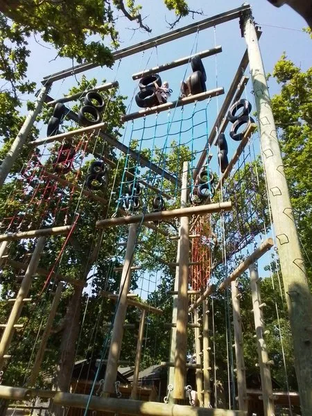 Group 4 Vertical Challenge - image 40