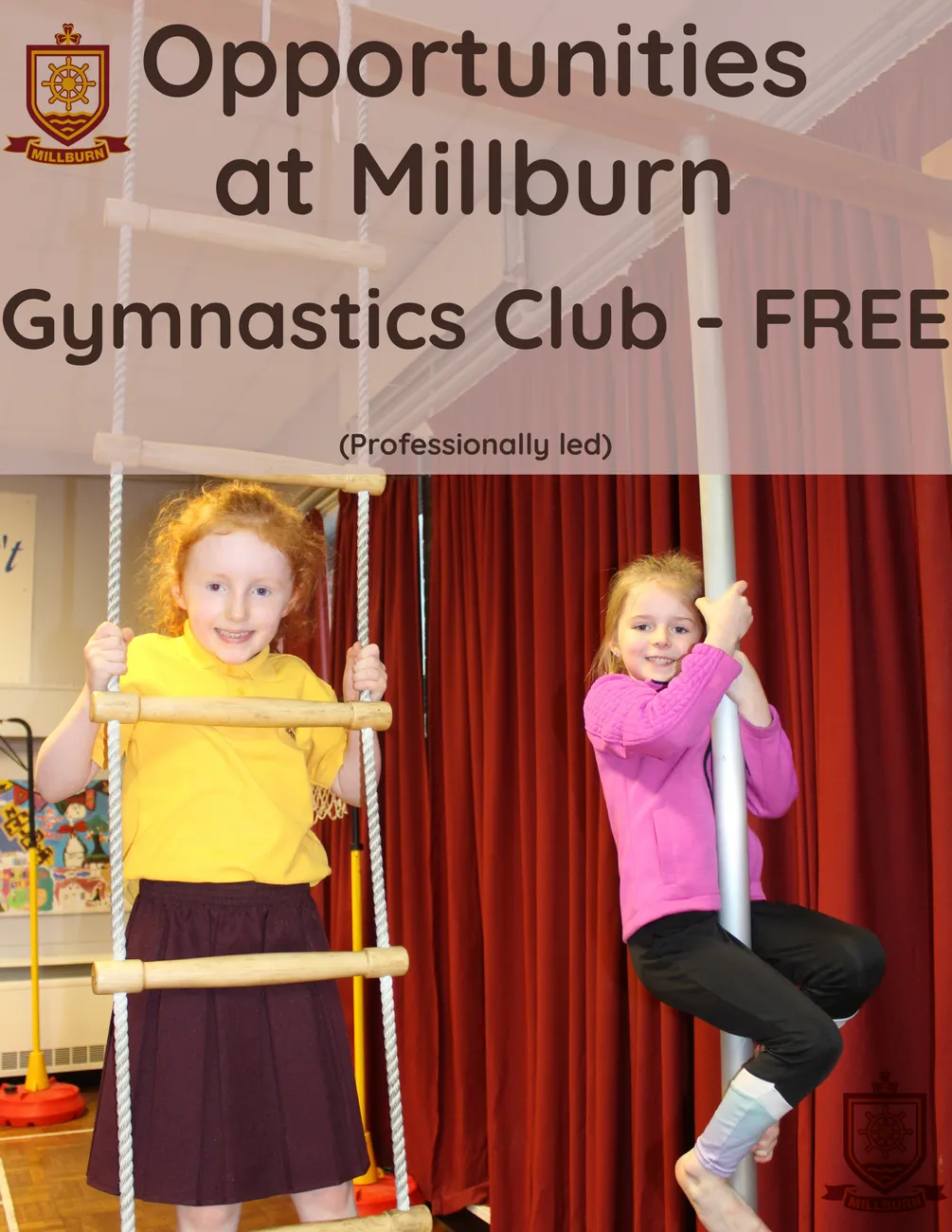 Gallery - created at 2024-06-11 11:49:37 - image 15