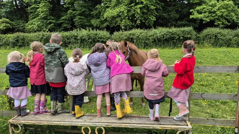 Gallery - created at 2024-06-16 17:31:20 - image 11