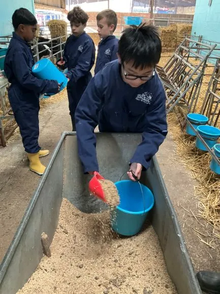 Farm Trip 25 - Gallery 2 - image 5