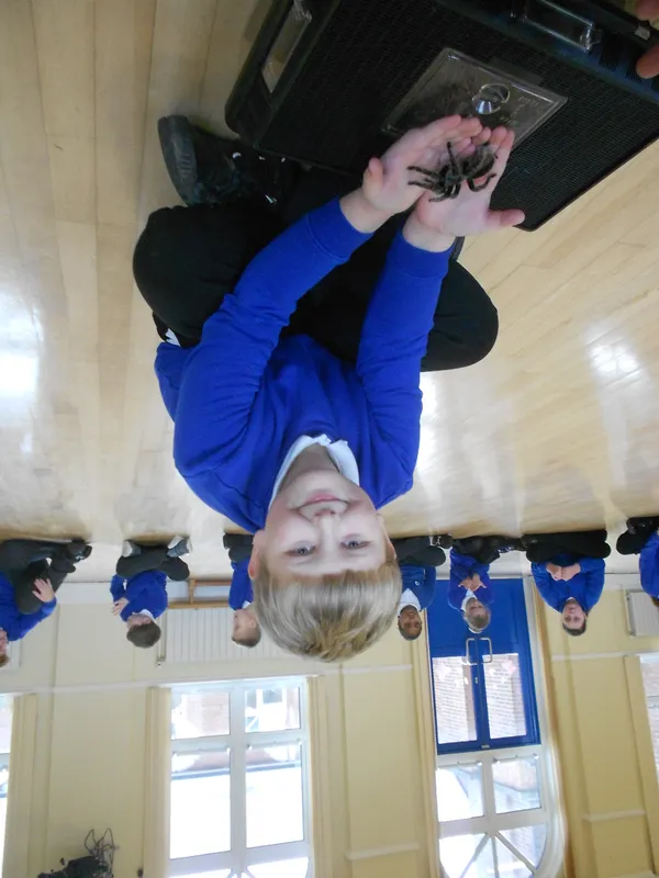 Y6 Reptile Rendezvous - image 80