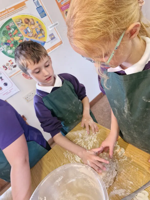 Gallery - created at 2024-10-02 11:38:57 - image 1 Gallery - created at 2024-10-02 11:38:57 - image 1