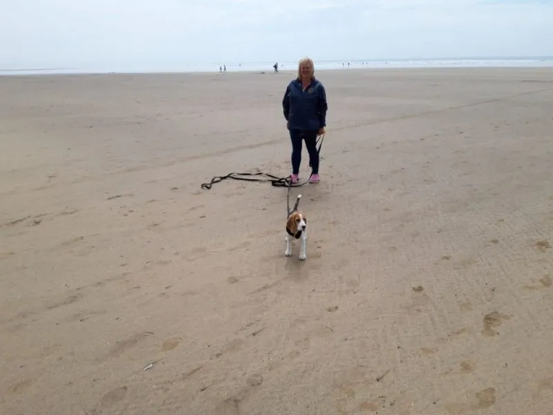 Our School - Bella 11 - image 3