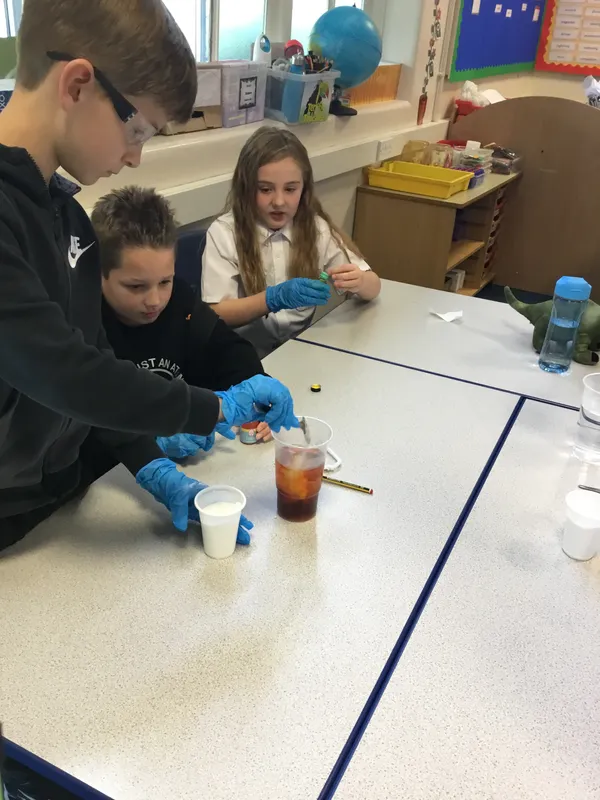 Gallery - created at 2019-09-17 19:22:10 - image 25 Gallery - created at 2019-09-17 19:22:10 - image 25