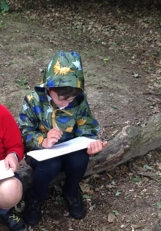 Gallery - created at 2023-07-07 15:55:26 - image 4 Gallery - created at 2023-07-07 15:55:26 - image 4