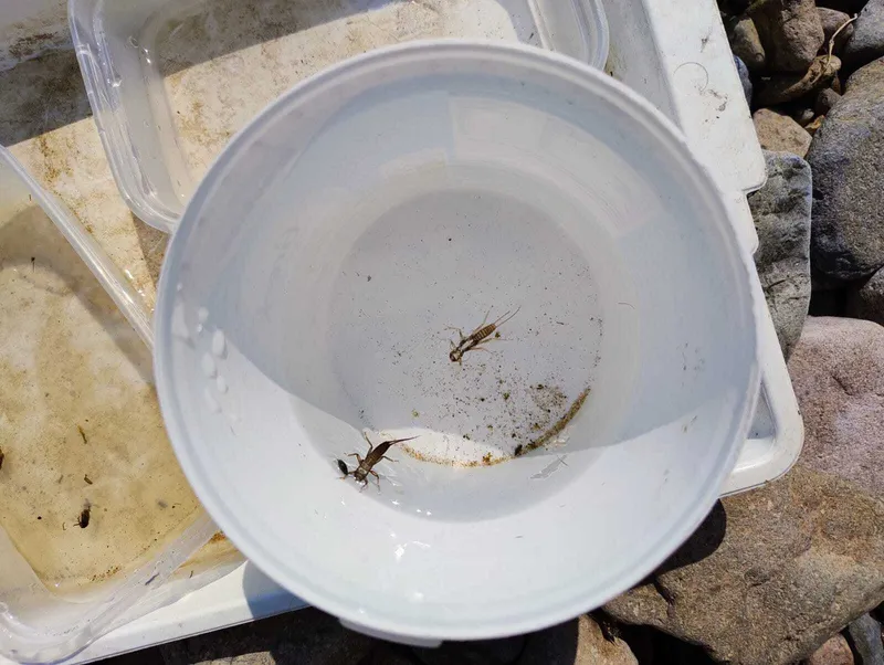 Gallery - created at 2025-06-06 10:37:45 - image 14 Gallery - created at 2025-06-06 10:37:45 - image 14