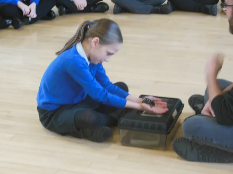 Y6 Reptile Rendezvous - image 12