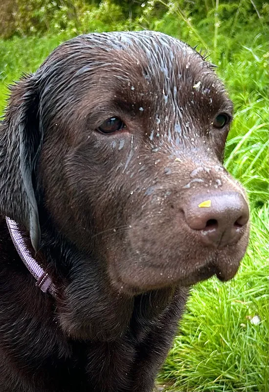 Gallery - created at 2021-06-30 13:57:57 - image 14