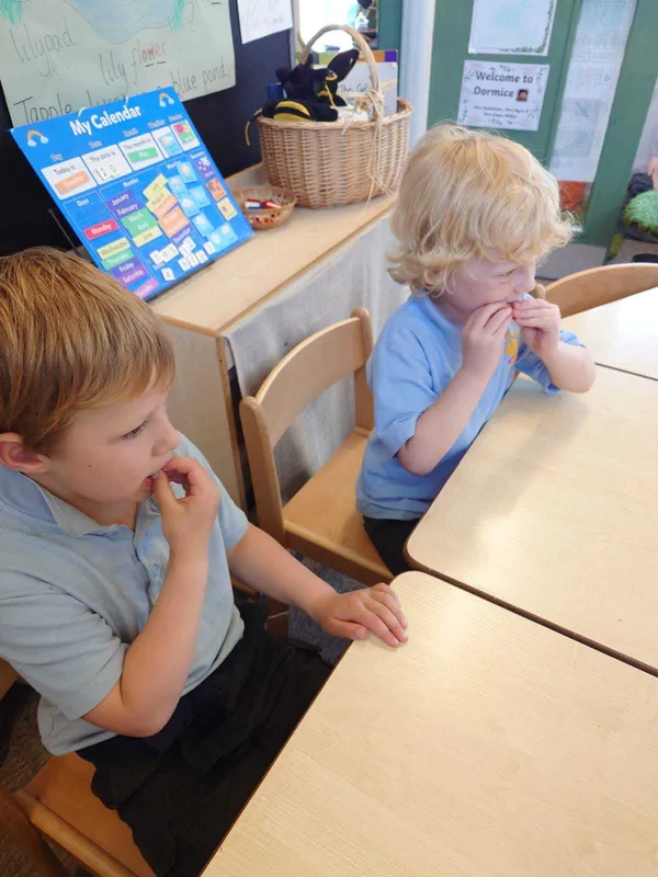 The Very Hungry Caterpillar Fruit Tasting - image 4 The Very Hungry Caterpillar Fruit Tasting - image 4
