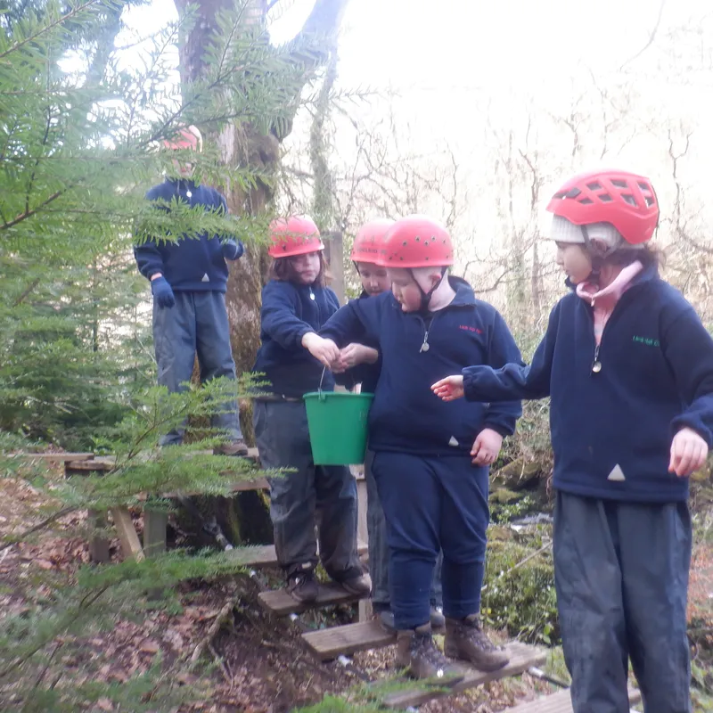 Gallery - created at 2025-02-27 19:57:56 - image 5