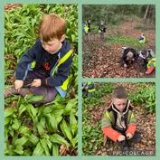 Forest School 12 - image 2 Forest School 12 - image 2