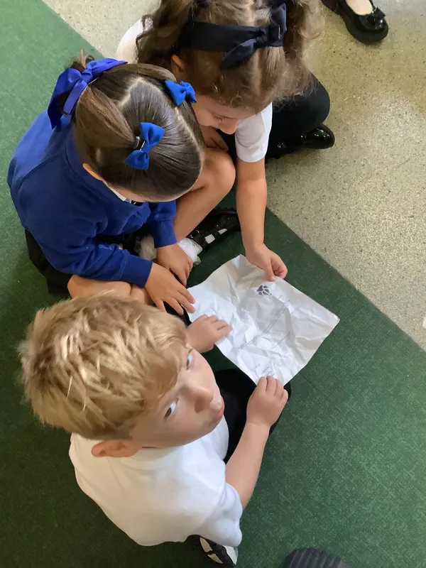 Gallery - created at 2025-09-17 14:03:20 - image 3 Gallery - created at 2025-09-17 14:03:20 - image 3