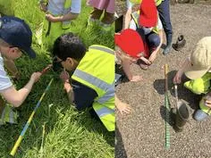 Forest School 67 - image 2 Forest School 67 - image 2