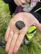 Forest School 97 - image 3 Forest School 97 - image 3