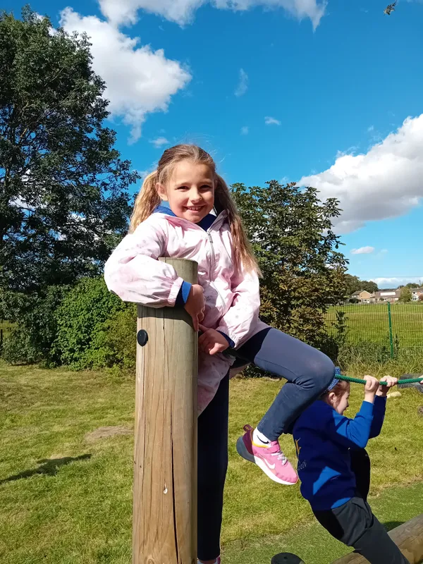 Robins playing on Harvest Hill enjoying being in the sunshine and spending time with friends - image 1 Robins playing on Harvest Hill enjoying being in the sunshine and spending time with friends - image 1