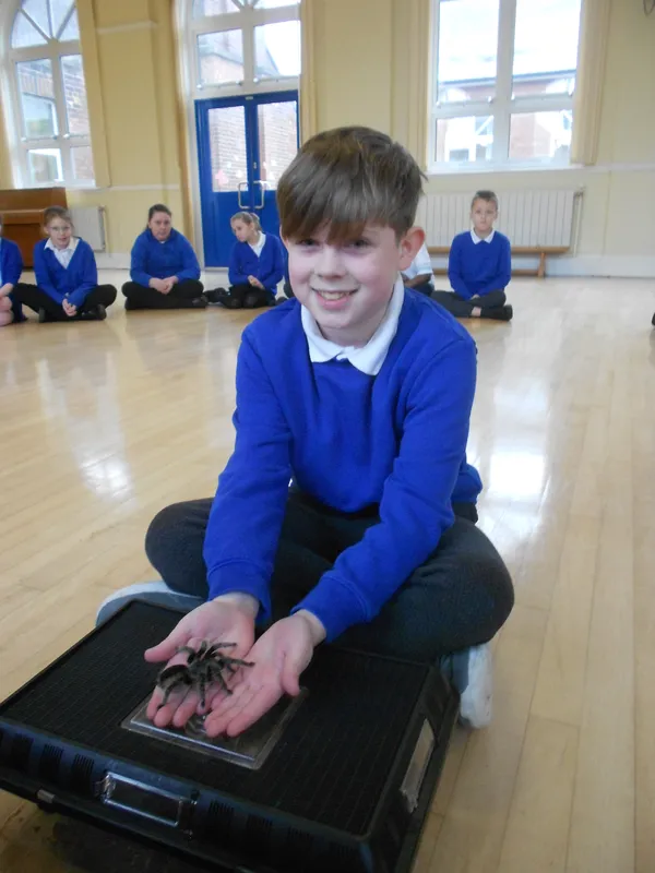 Y6 Reptile Rendezvous - image 78