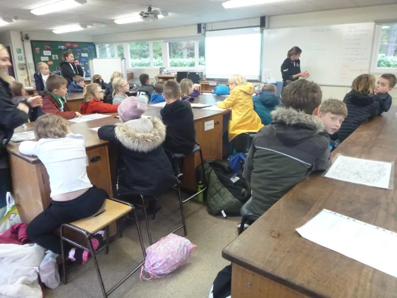 Gallery - created at 2019-12-16 15:12:33 - image 15