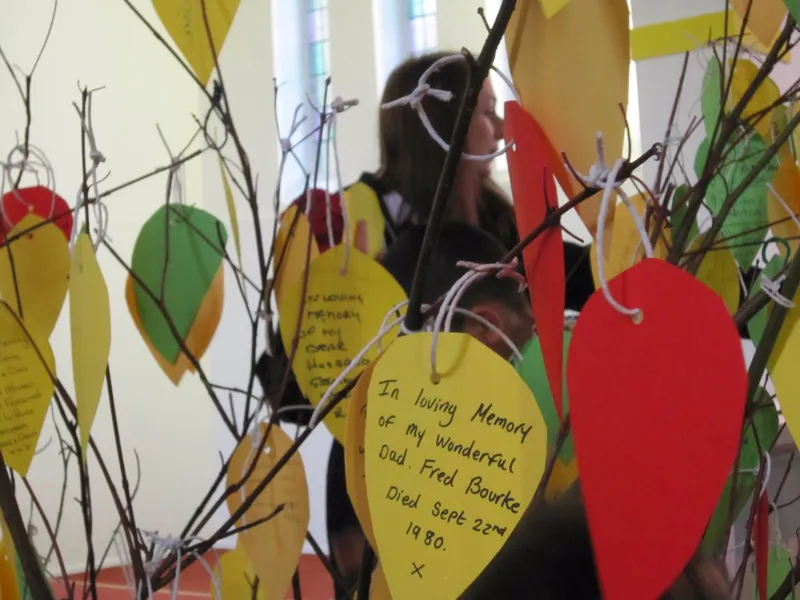 Gallery - created at 2017-09-11 16:29:13 - image 4