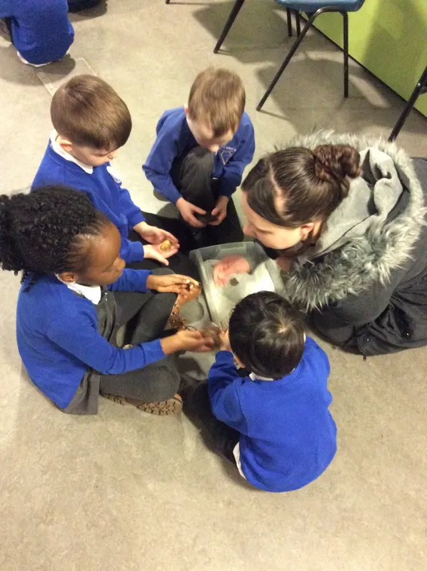 Gallery - created at 2024-02-09 08:14:33 - image 8