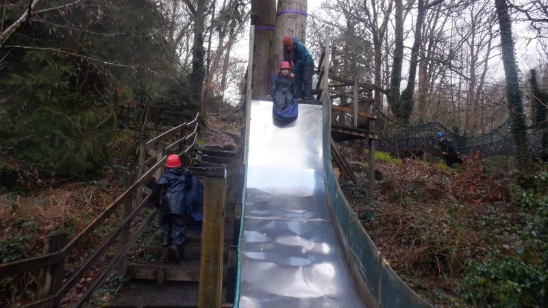 Gallery - created at 2024-02-27 21:54:15 - image 32 Gallery - created at 2024-02-27 21:54:15 - image 32