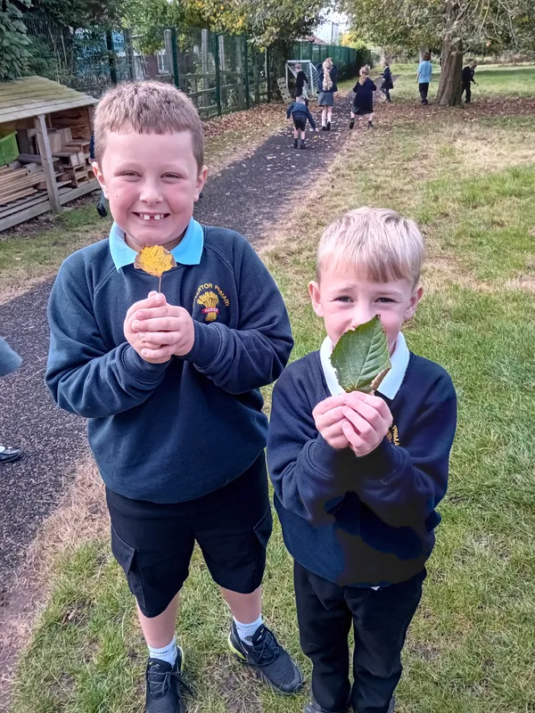 Robins searching for autumn treasures - image 4 Robins searching for autumn treasures - image 4