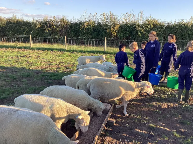 Farm Trip 2025 - image 2