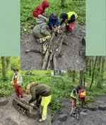 Forest School 70 - image 1 Forest School 70 - image 1