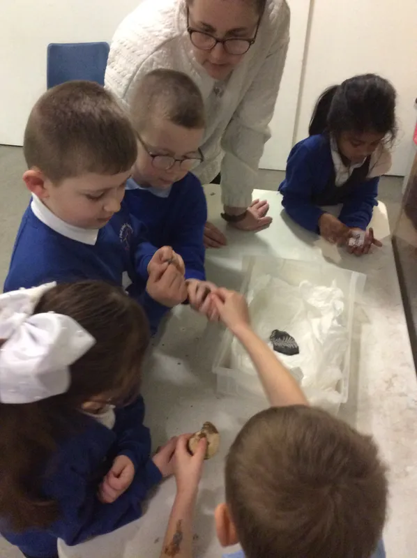 Gallery - created at 2024-02-09 08:14:33 - image 11