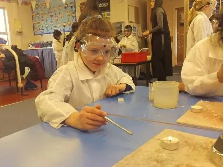 Gallery - created at 2018-01-17 17:01:08 - image 2