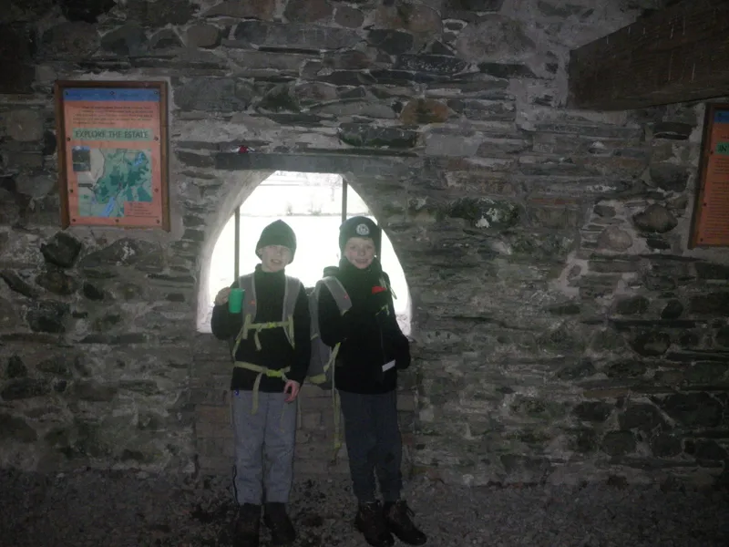 Gallery - image 7
