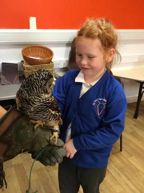 Gallery - created at 2024-02-26 17:15:57 - image 13 Gallery - created at 2024-02-26 17:15:57 - image 13