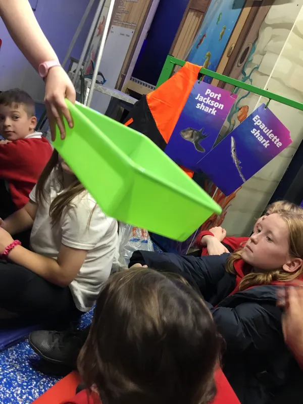 Year 5 Sealife Centre  - image 49