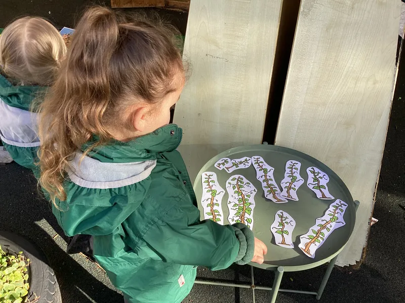 Jack & the bean stalk 26 - image 5